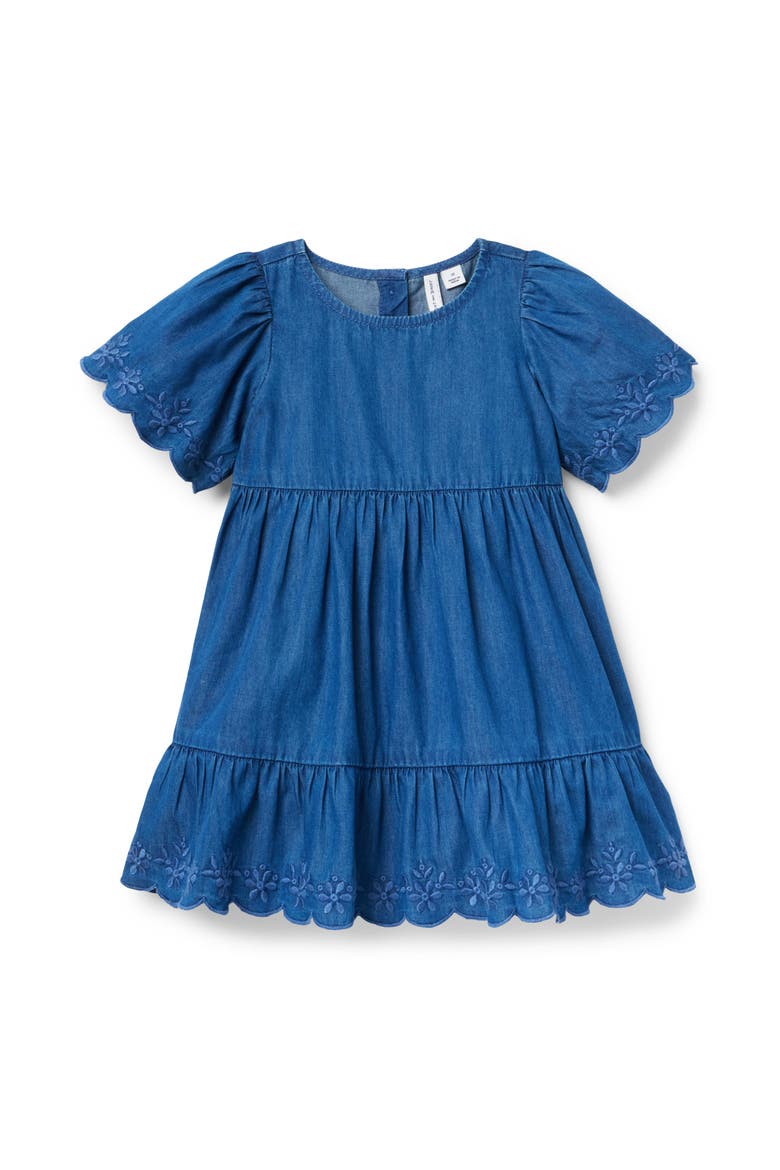 Embroidered Floral Chambray Dress, Main, color, Blue