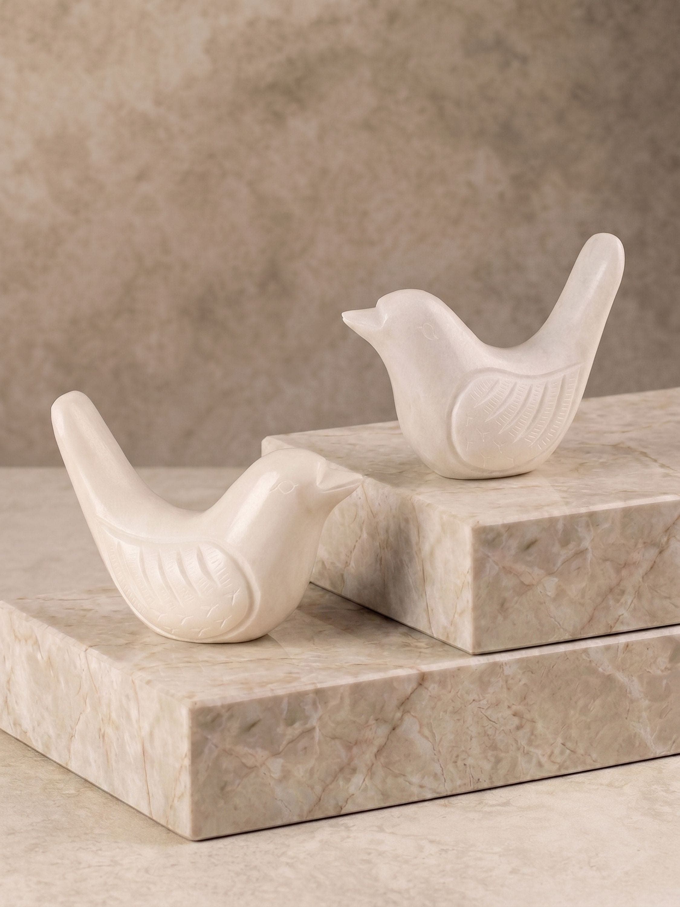 selected Ivory