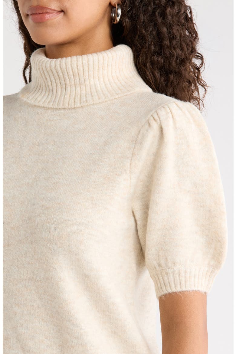 Turtleneck Short Sleeve Sweater, Alternate, color, MALTED