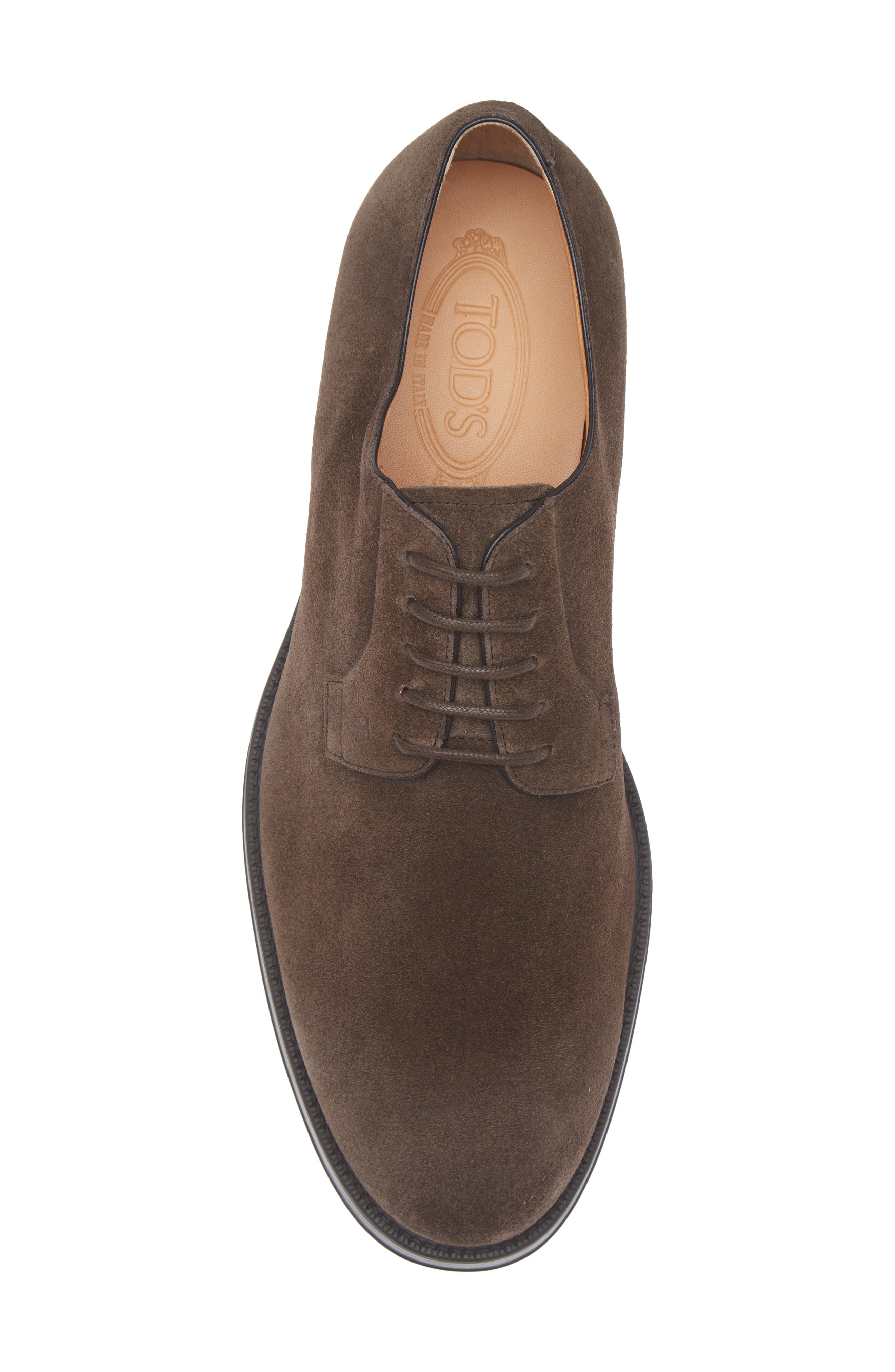 Tod's Plain Toe Derby, Alternate, color, Testa Moro