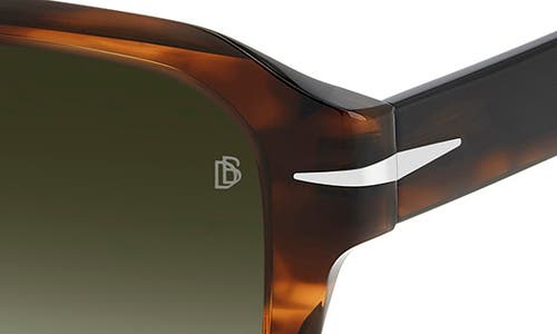 David Beckham Eyewear 54mm Gradient Rectangular Sunglasses In Brown Horn/green Shaded
