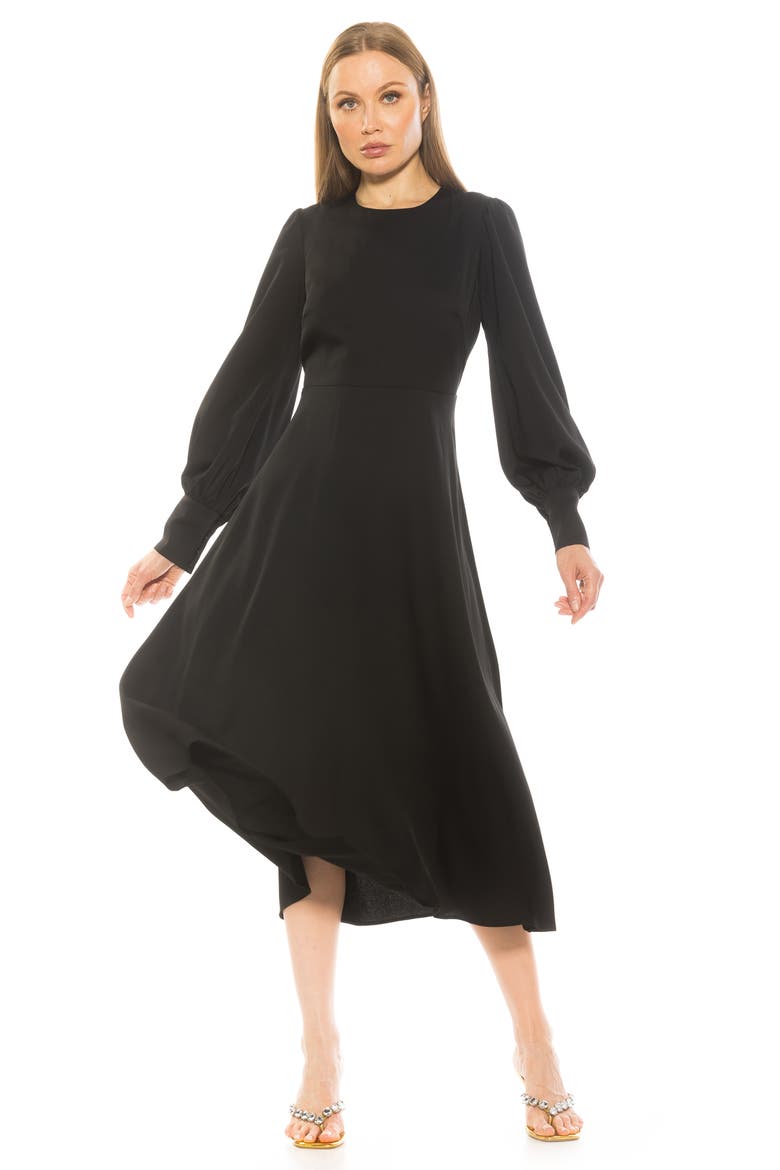 Sophie Long Sleeve Fit & Flare Maxi Dress, Alternate, color, BLACK