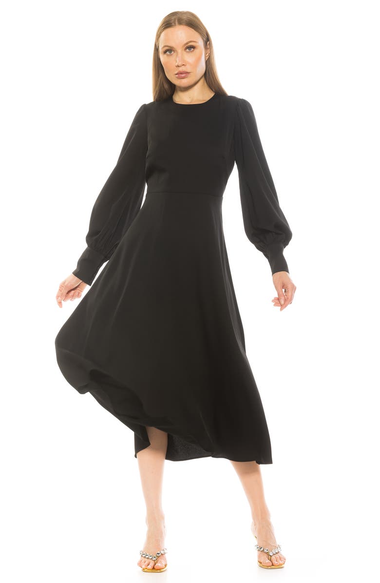 Alexia Admor Sophie Long Sleeve Fit & Flare Maxi Dress, Alternate, color, 