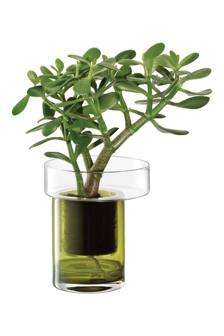 Balcony Self Watering Glass Planter, Alternate, color, GREEN
