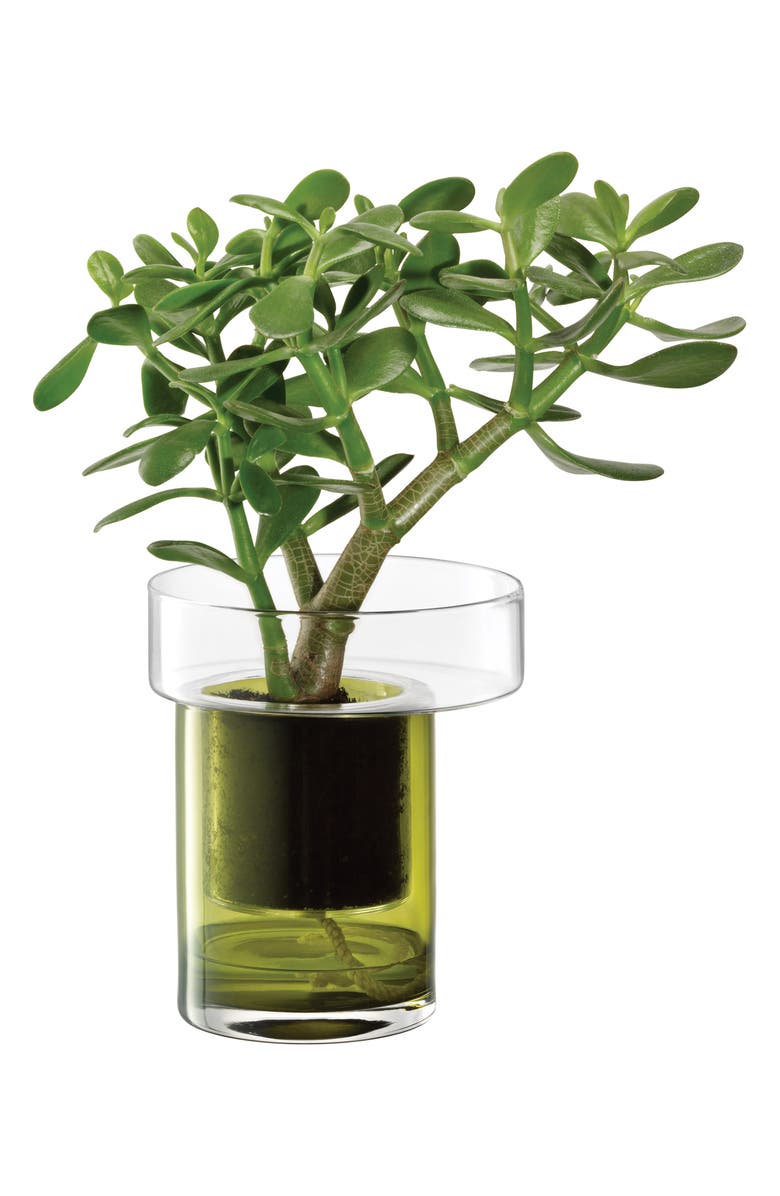 LSA Balcony Self Watering Glass Planter, Alternate, color, Green