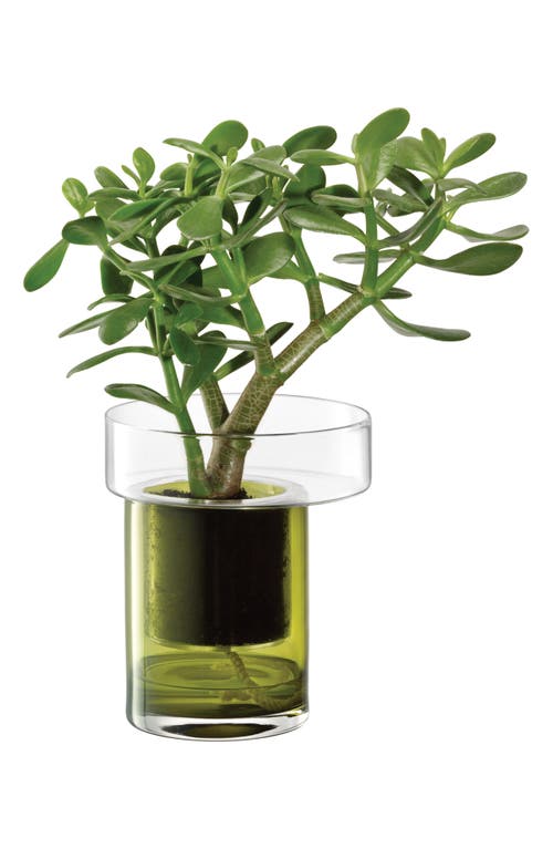 Lsa Balcony Self Watering Glass Planter In Green