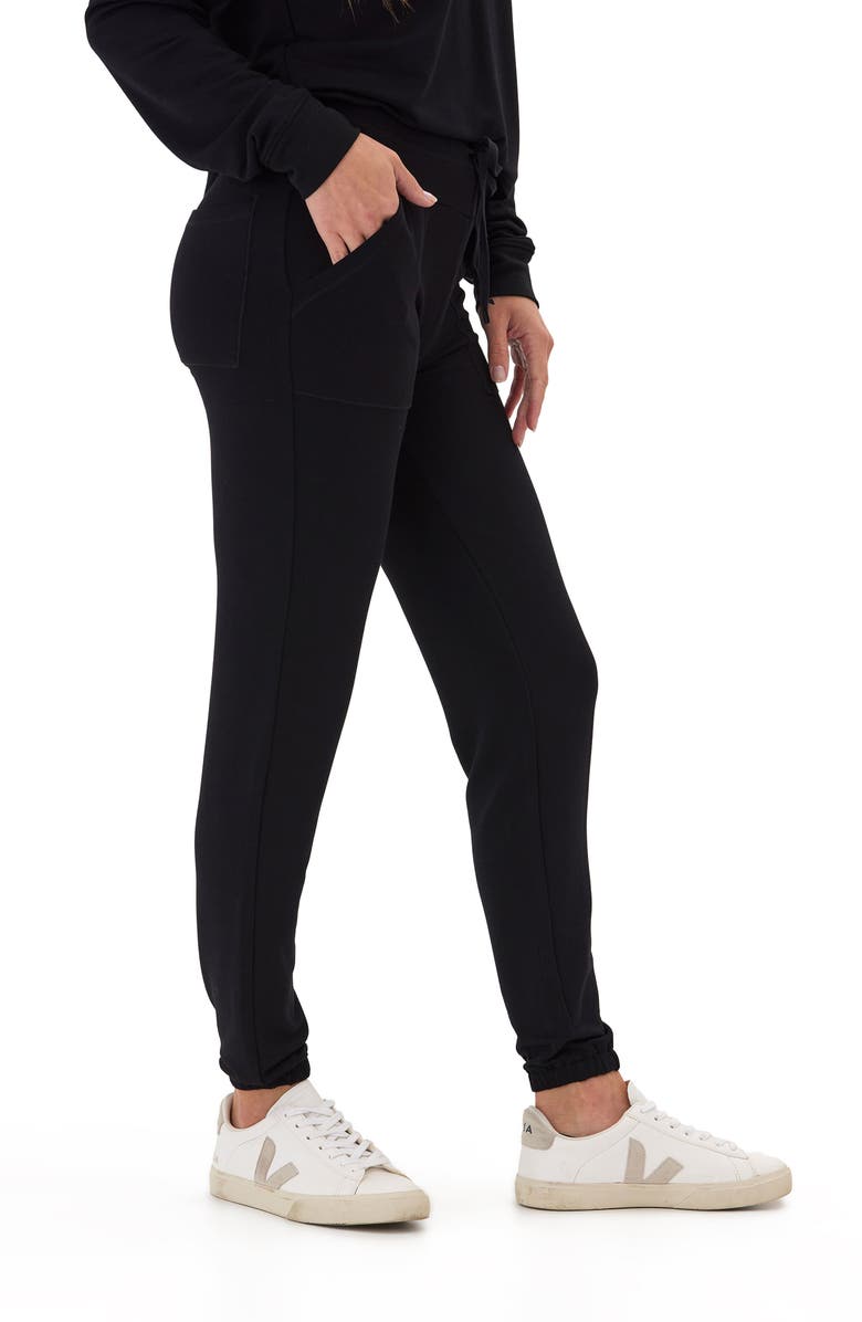 Threads 4 Thought Ani Slim Fit Terry Joggers, Alternate, color, 