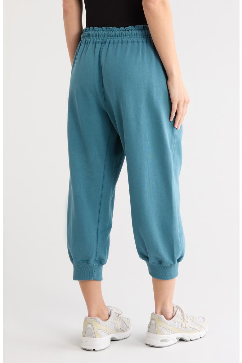 FP Movement Flutter Crop Joggers, Alternate, color, DARK BLUE