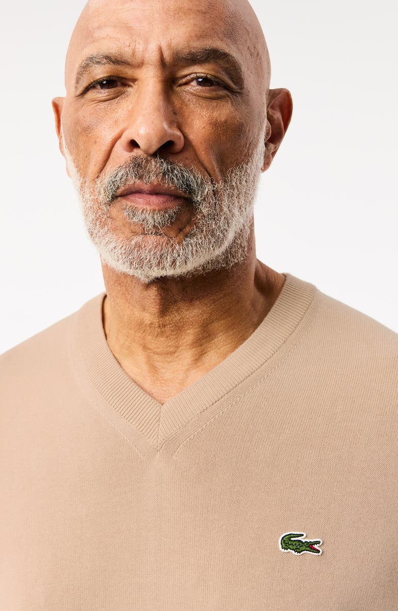 Lacoste V-Neck Cotton Sweater, Alternate, color, Viennese