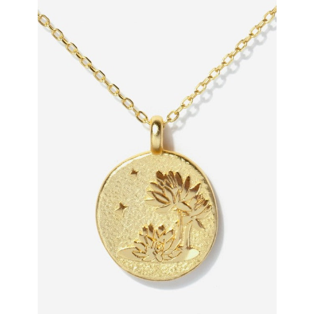 Little Sky Stone Birth Flower Necklace In Gold