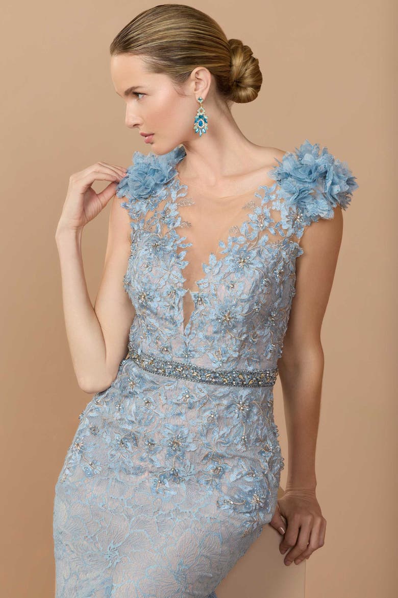 Embroidered Illusion Appliqued Bodice Trumpet Gown, Alternate, color, Powder Blue