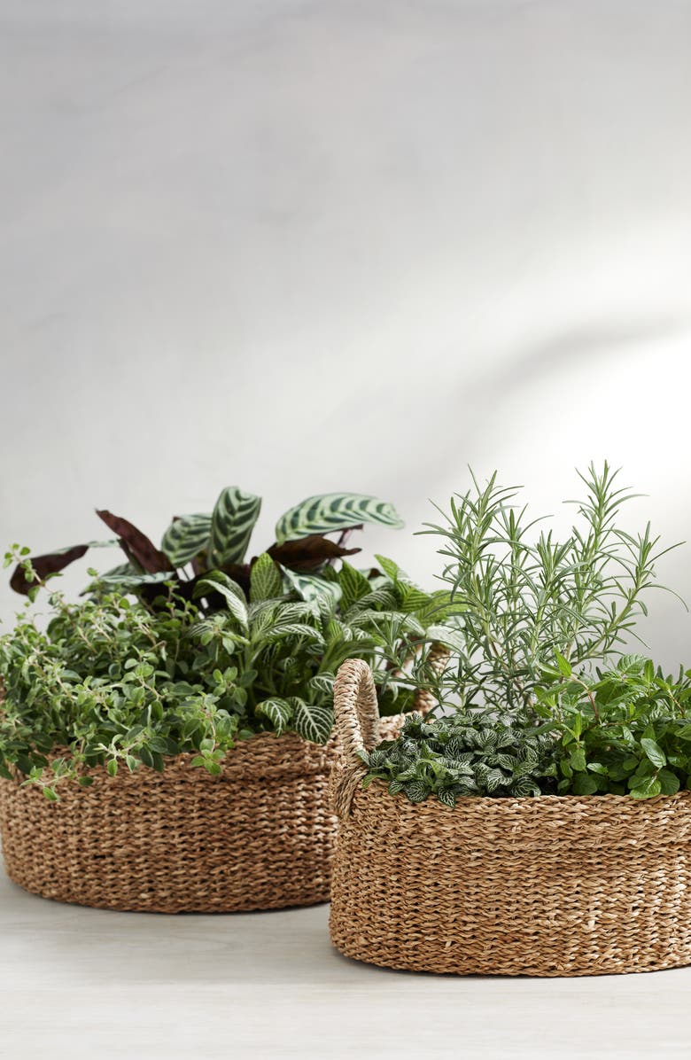 The White Company Small Round Seagrass Planter, Alternate, color,