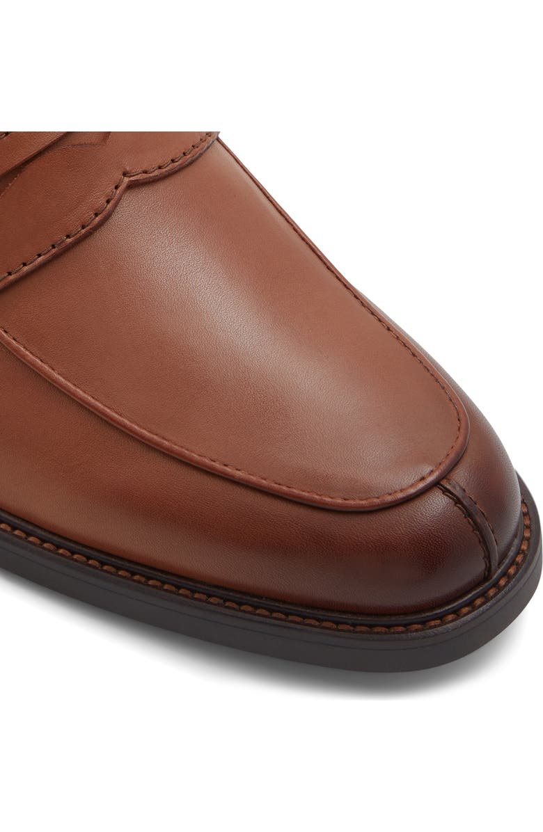 ALDO Sullivan Penny Loafer, Alternate, color,