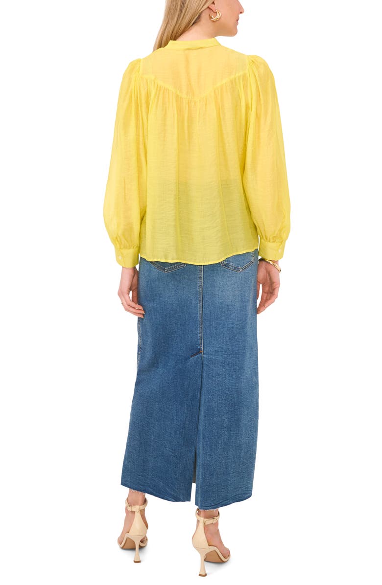 Vince Camuto Yoke Raglan Sleeve Shirt, Alternate, color, 