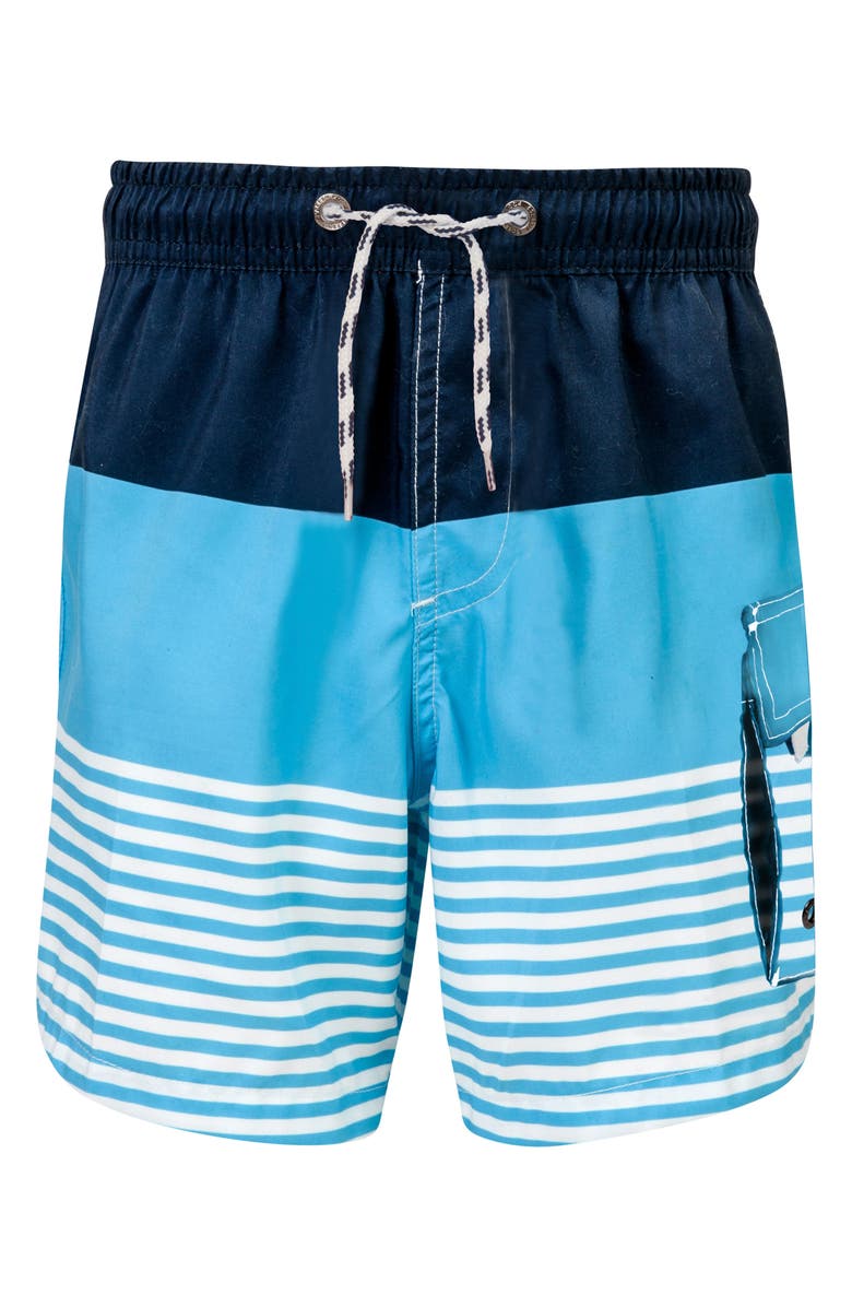 Snapper Rock Stripe Board Shorts, Main, color, 