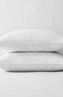 HOMESPUN HOME SPUN Plush Down Alternative Gel Fiber Pillows - Pack of 2