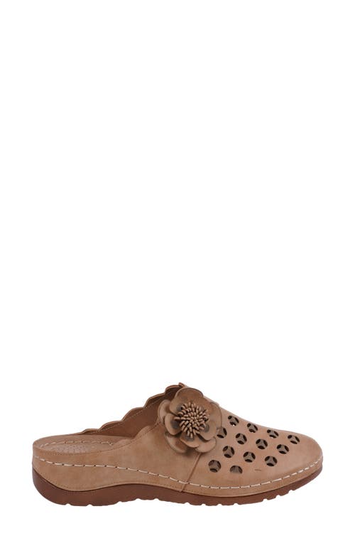 Gc Shoes Marisol Clog In Multi