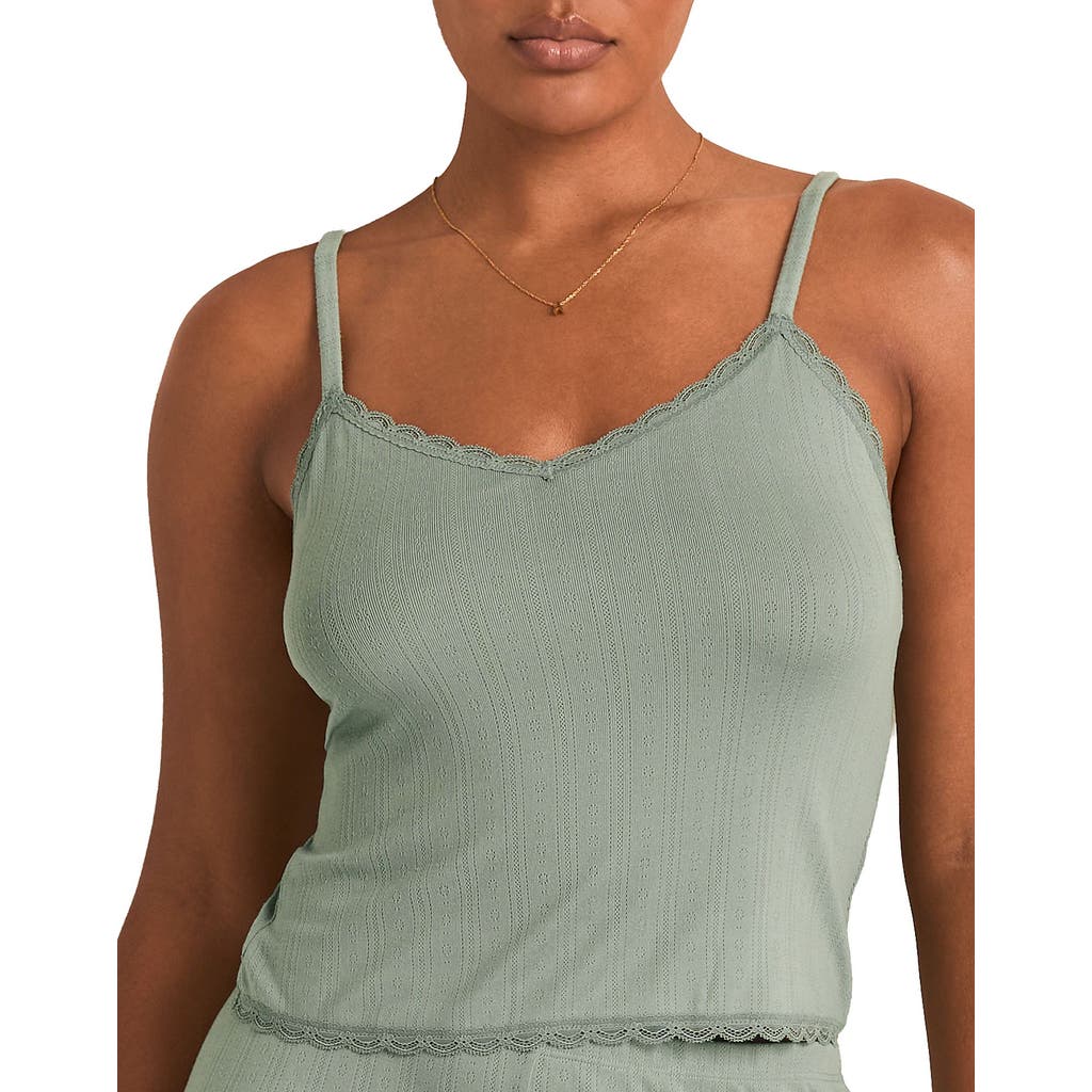 Adore Me Pointelle Cami Top In Multi