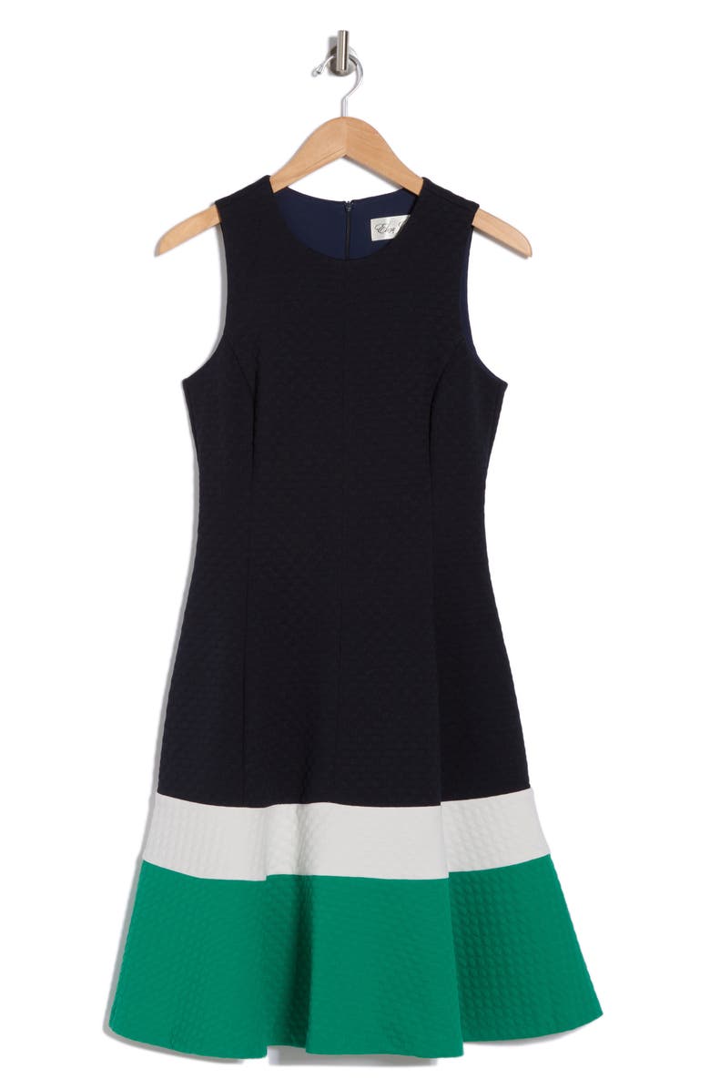 Eliza J Colorblock Sleeveless Fit & Flare Dress, Alternate, color, 