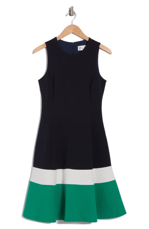 ELIZA J ELIZA J COLORBLOCK SLEEVELESS FIT & FLARE DRESS
