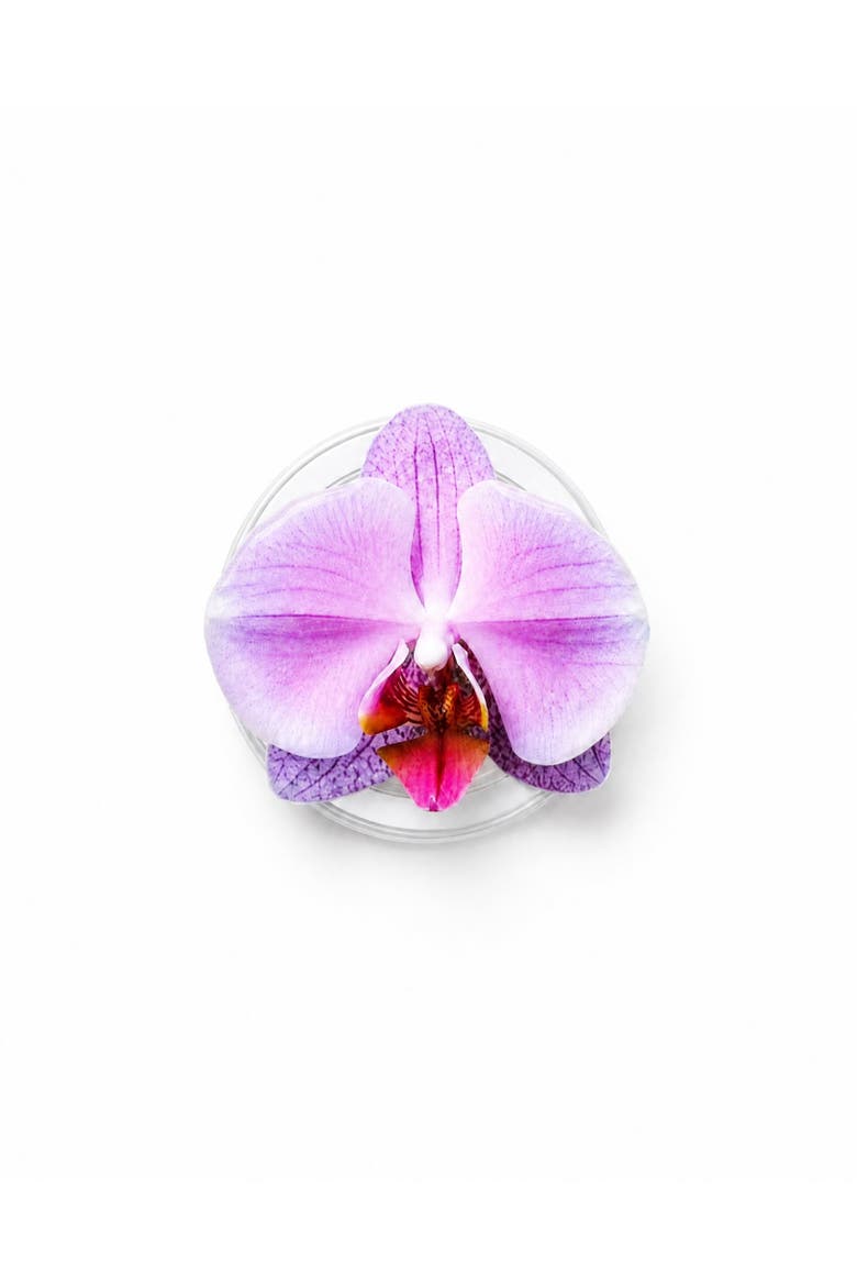 Lilac Orchid Magnetic Phone Grip, Main, color, Lilac Orchid