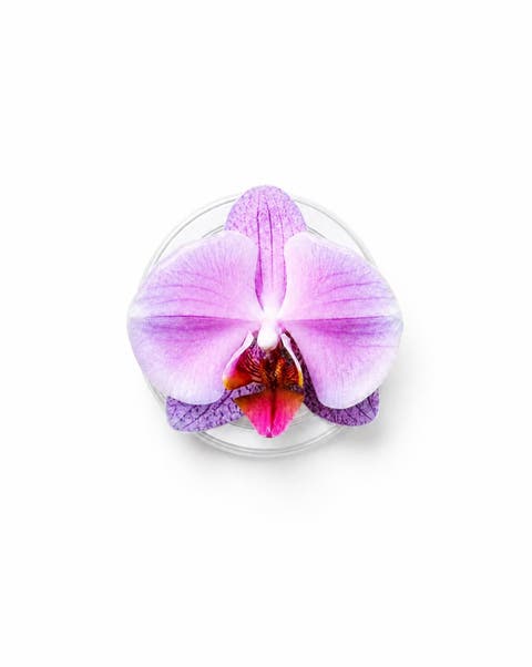 Lilac Orchid Magnetic Phone Grip