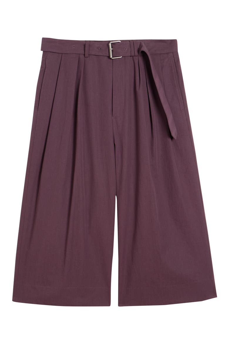Preaches Belted Pleated Cotton, Alternate, color, DARK PURPLE