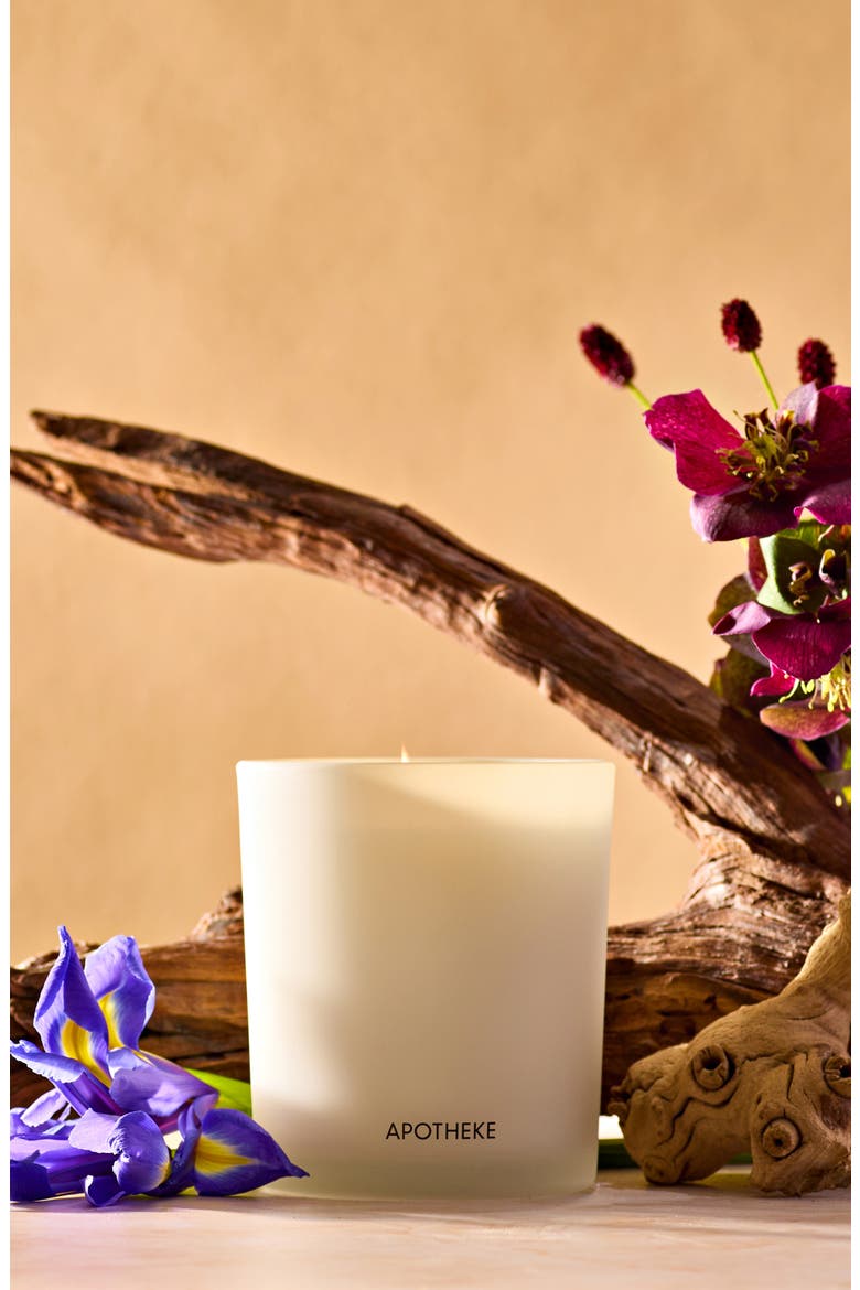 Black Iris Oak Classic Scented Candle, Alternate, color, NO COLOR