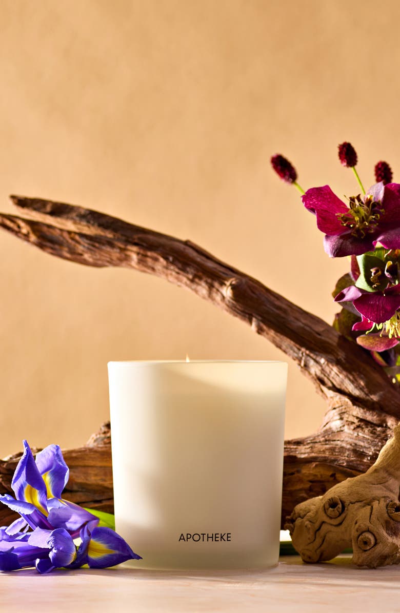 APOTHEKE Black Iris Oak Classic Scented Candle, Alternate, color, 