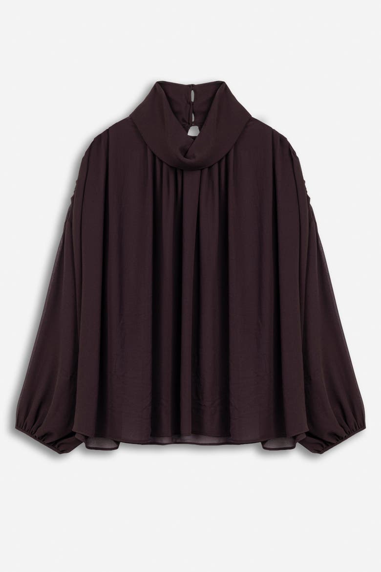 Gathered Sheer Blouse, Alternate, color, Brown