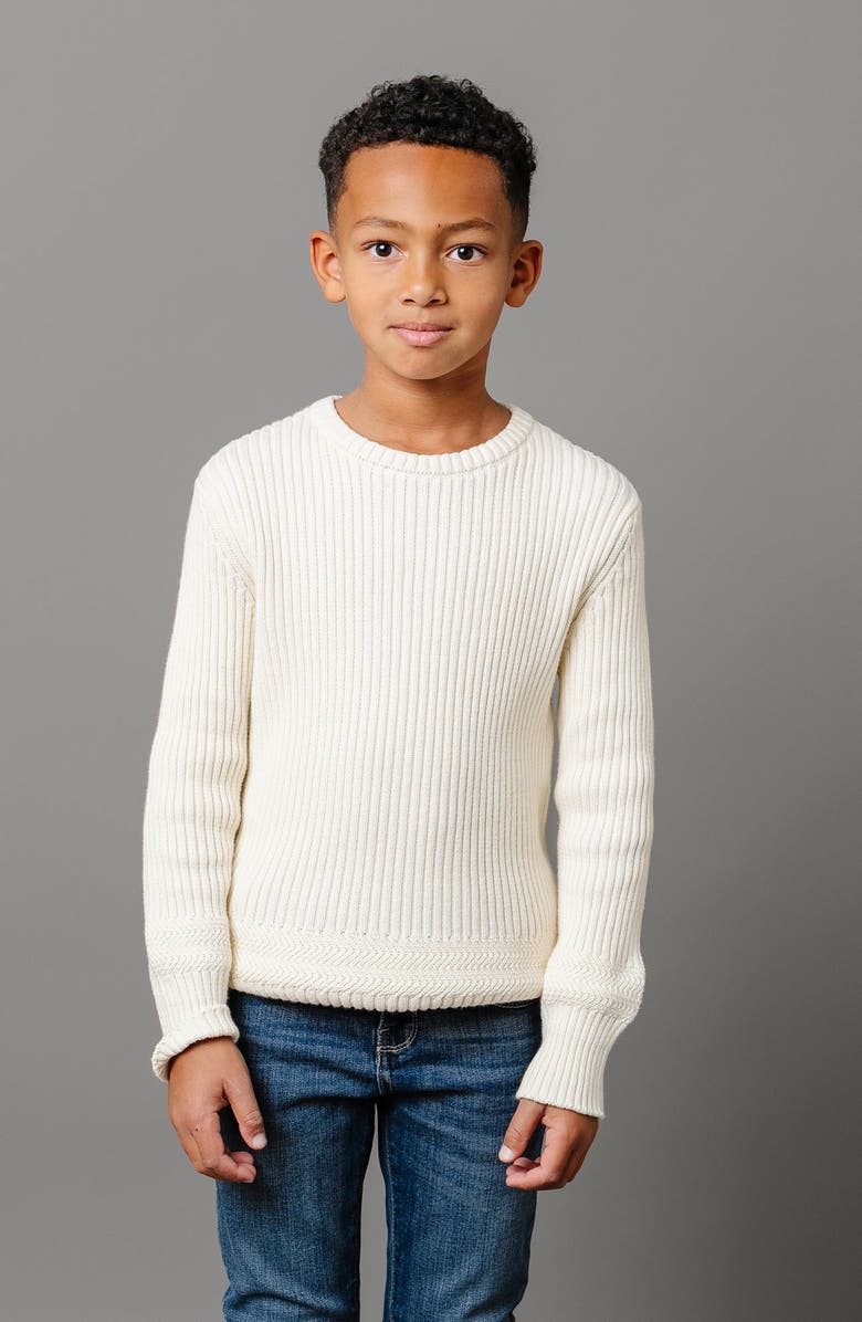 Hope & Henry Boys' Organic Herringbone Detail Crew Neck Sweater, Kids, Alternate, color, 