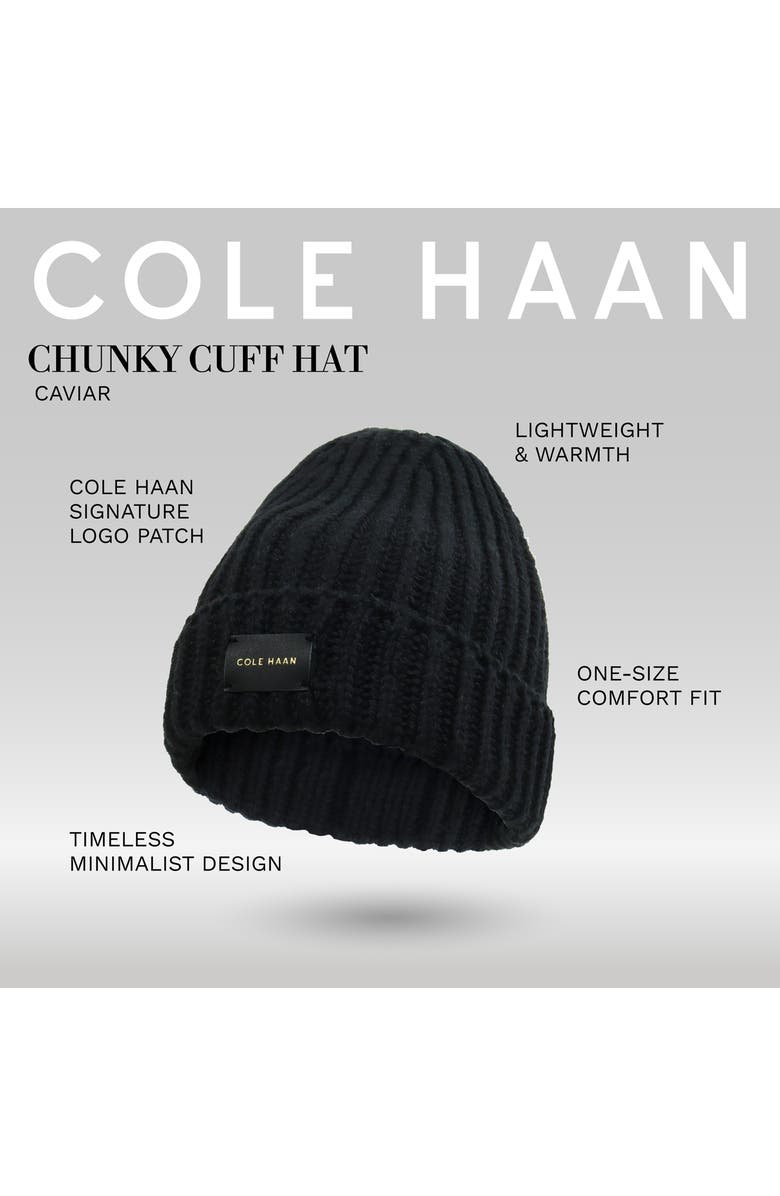 Cole Haan Chunky Cuff Beanie, Alternate, color, Caviar