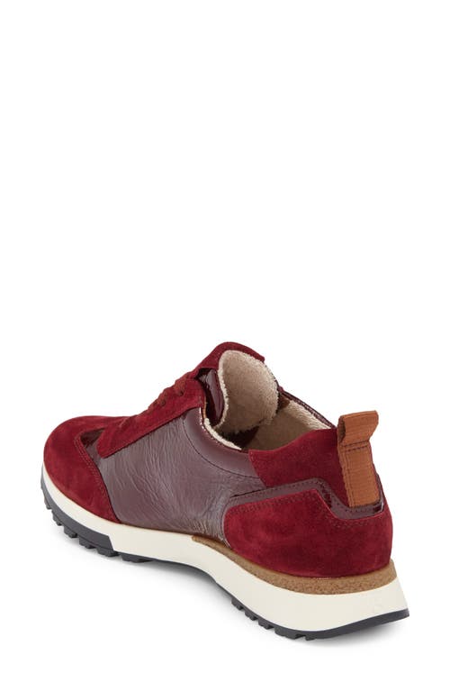 Paul Green Carrie Sneaker In Red