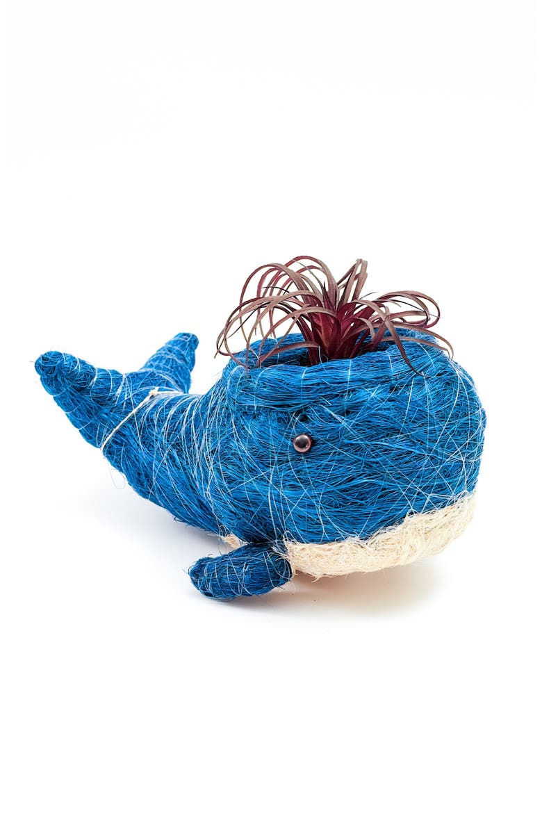 Aquatic Animal Coco Coir Planters, Alternate, color, Aqua