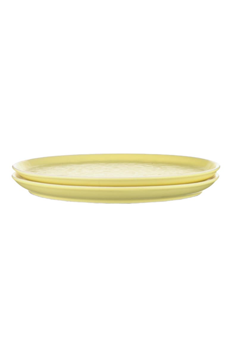 Stone Lain Elena Stoneware 4-Piece Dinner Plate Set, Alternate, color, Yellow