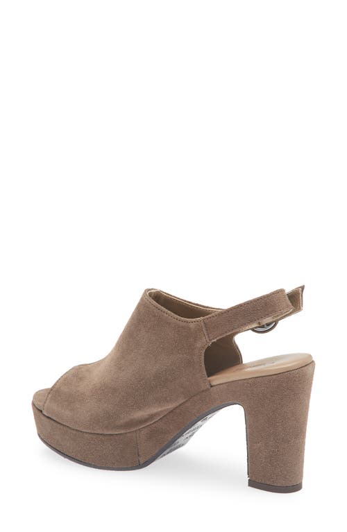 Cordani Tess Slingback Platform Sandal In Brown