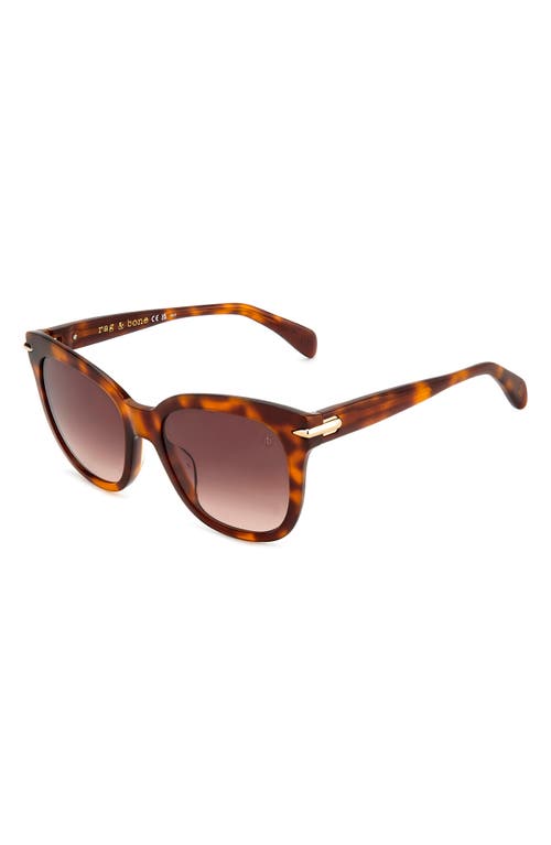 Rag & Bone 55mm Square Sunglasses In Havana
