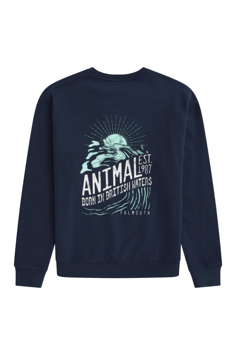Jonah Falmouth Sweatshirt, Alternate, color, Navy