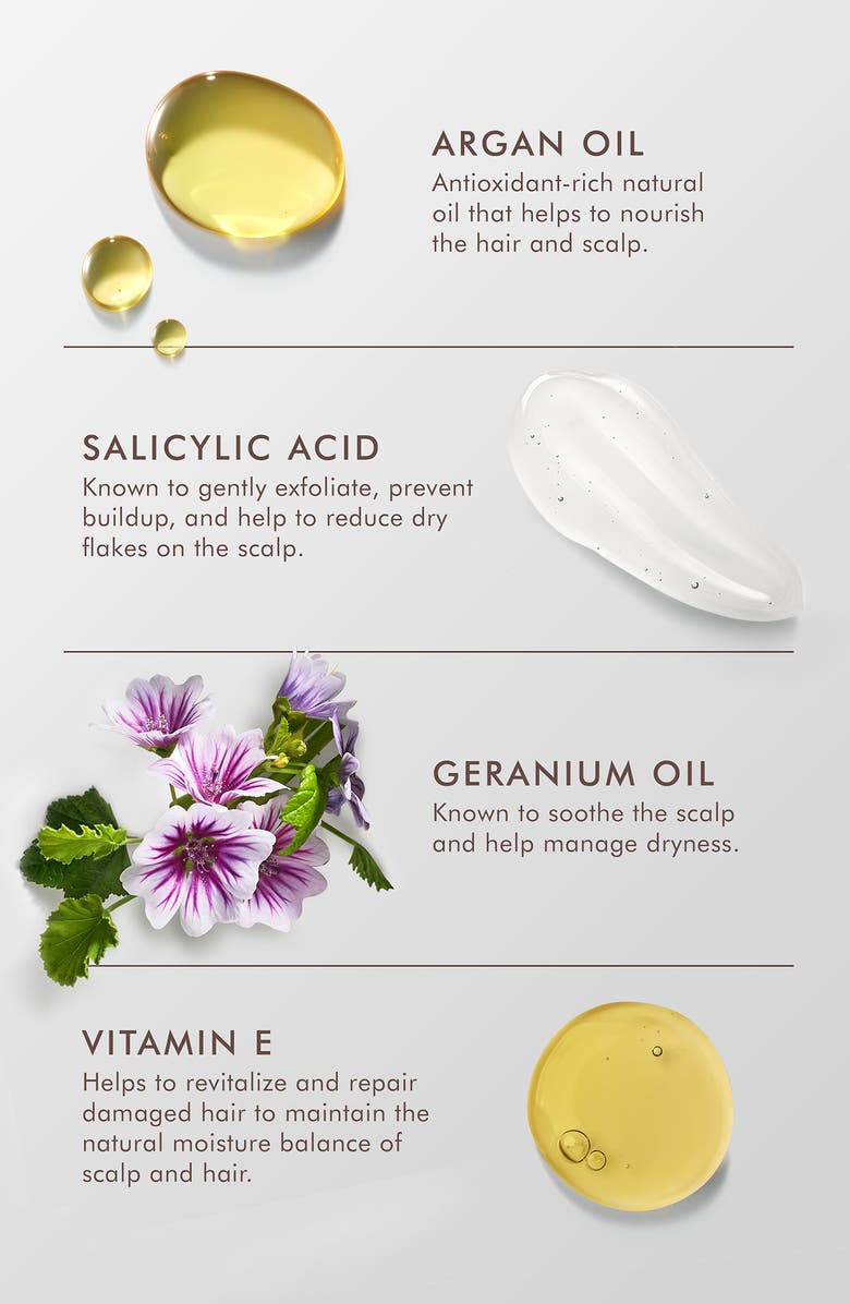 MOROCCANOIL<sup>®</sup> Dry Scalp Treatment, Alternate, color,