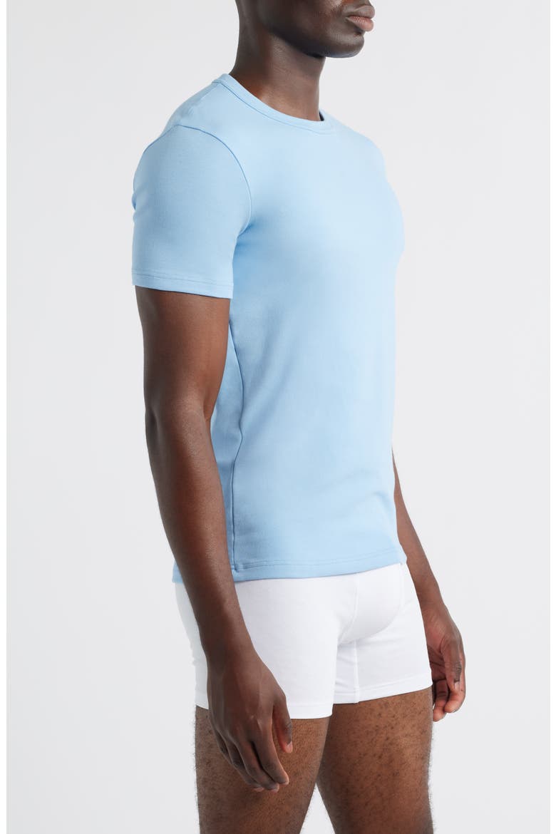 Cotton Jersey Crewneck T-Shirt, Alternate, color, SKY BLUE