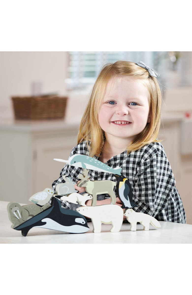 Tender Leaf Toys Polar Animals 10-Piece Wooden Toy Set & Shelf, Alternate, color, Multi