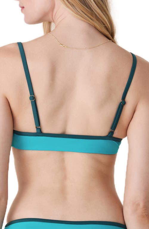 Andie The Bells Bikini Top In Blue