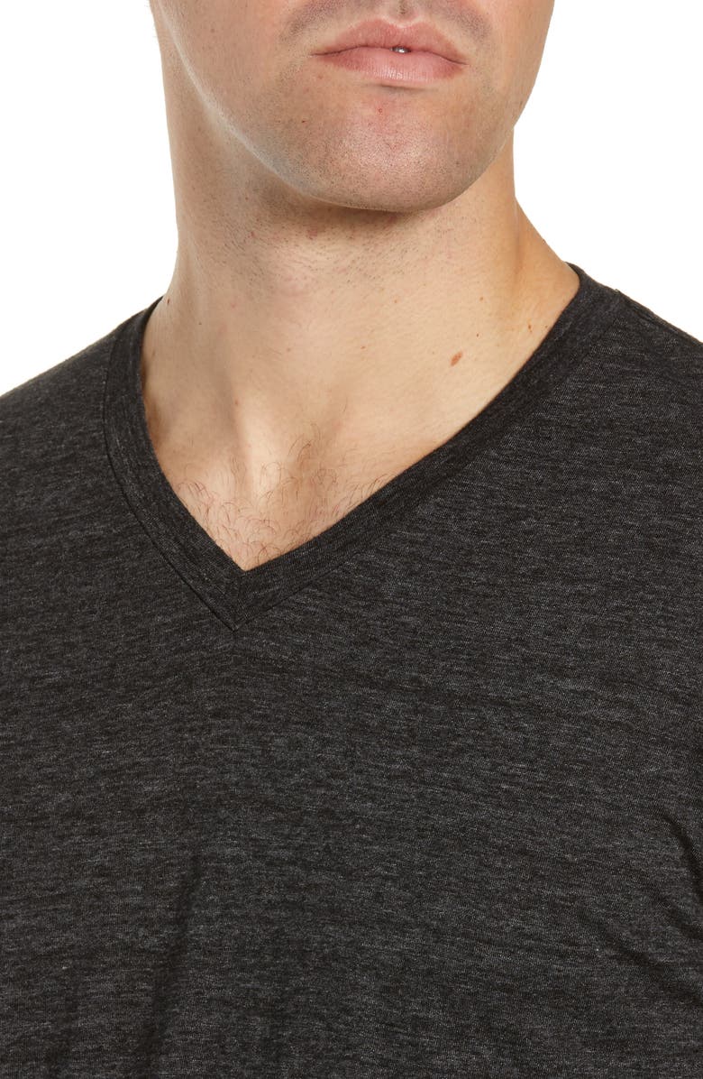 Goodlife Classic V-Neck T-Shirt, Alternate, color,