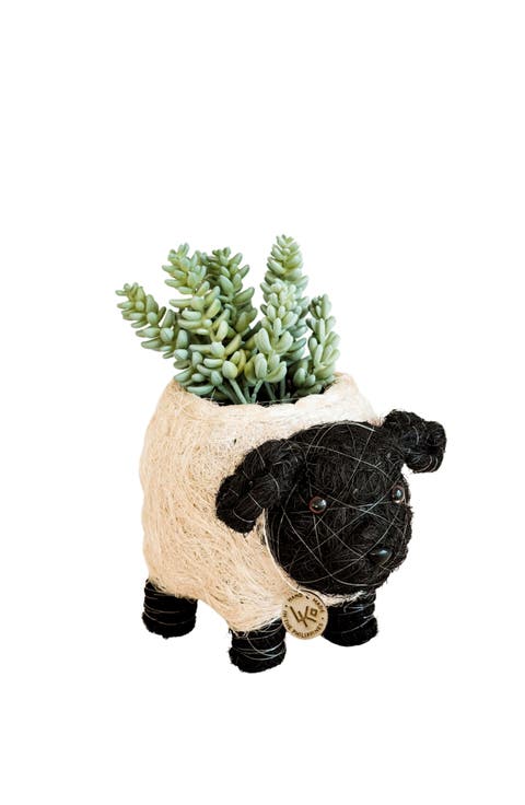 Farm Animal Coco Coir Planters