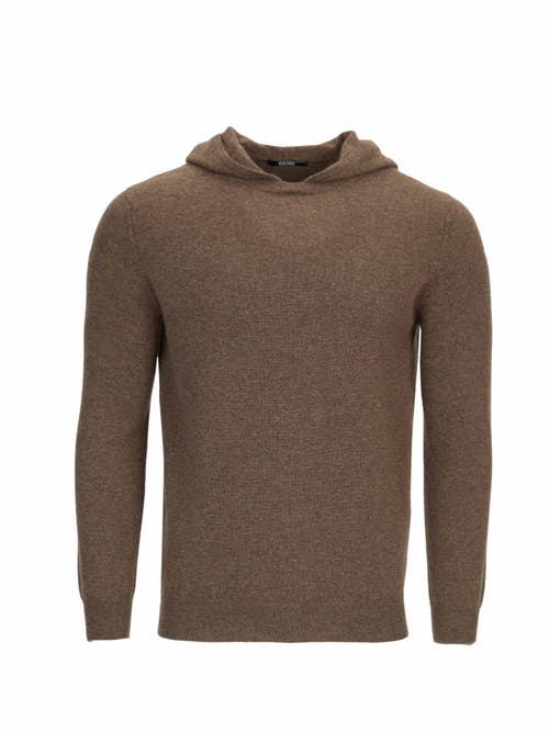 Gobi Mongolian Cashmere Basic Hoodie In Brown