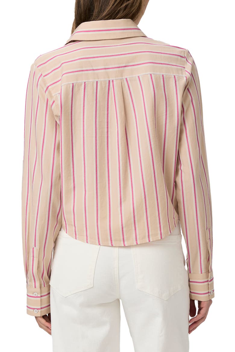 Doreen Stripe Crop Shirt, Alternate, color, CHAMPAGNE MULTI