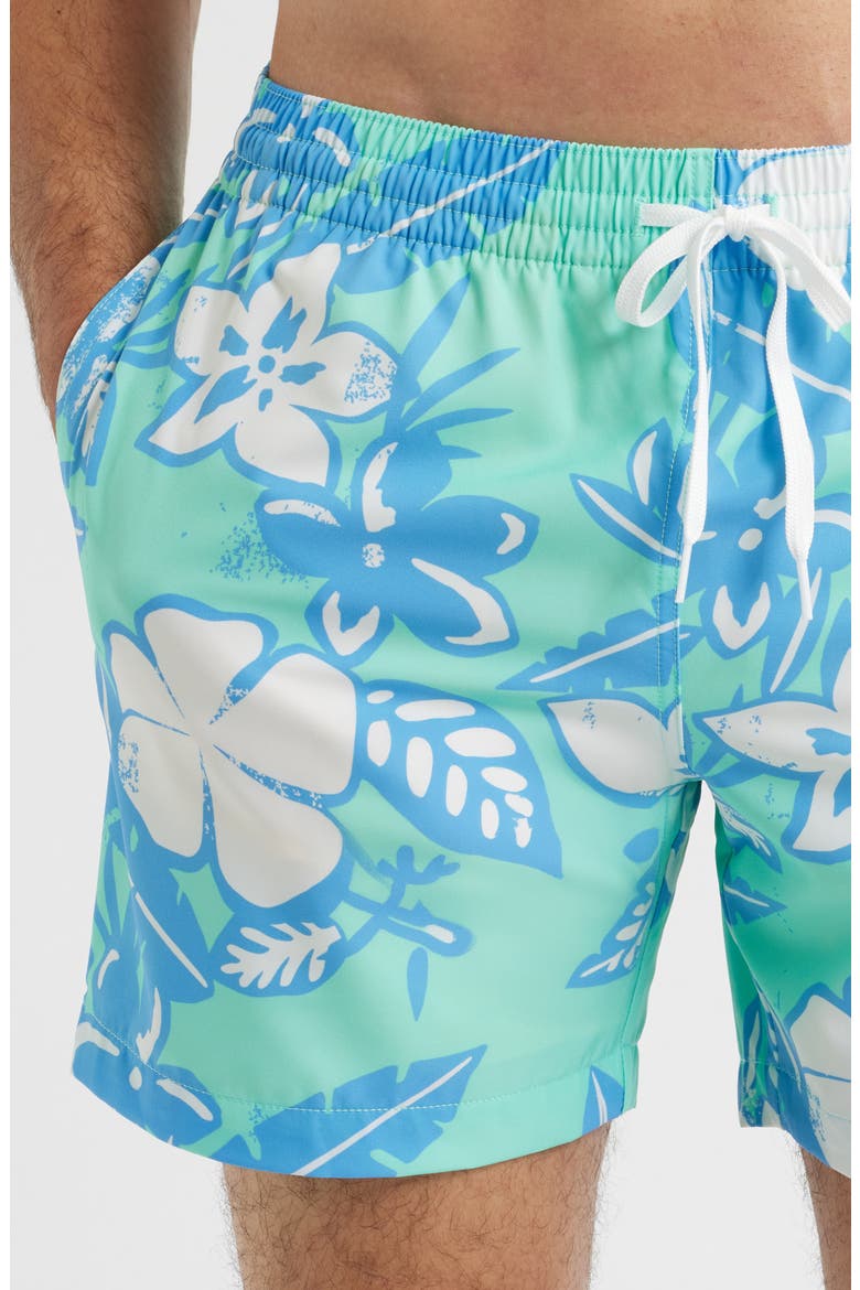 The Baja Breezies 5.5 Classic Lined Swim Trunks, Alternate, color, TEAL - PATTERN BASED