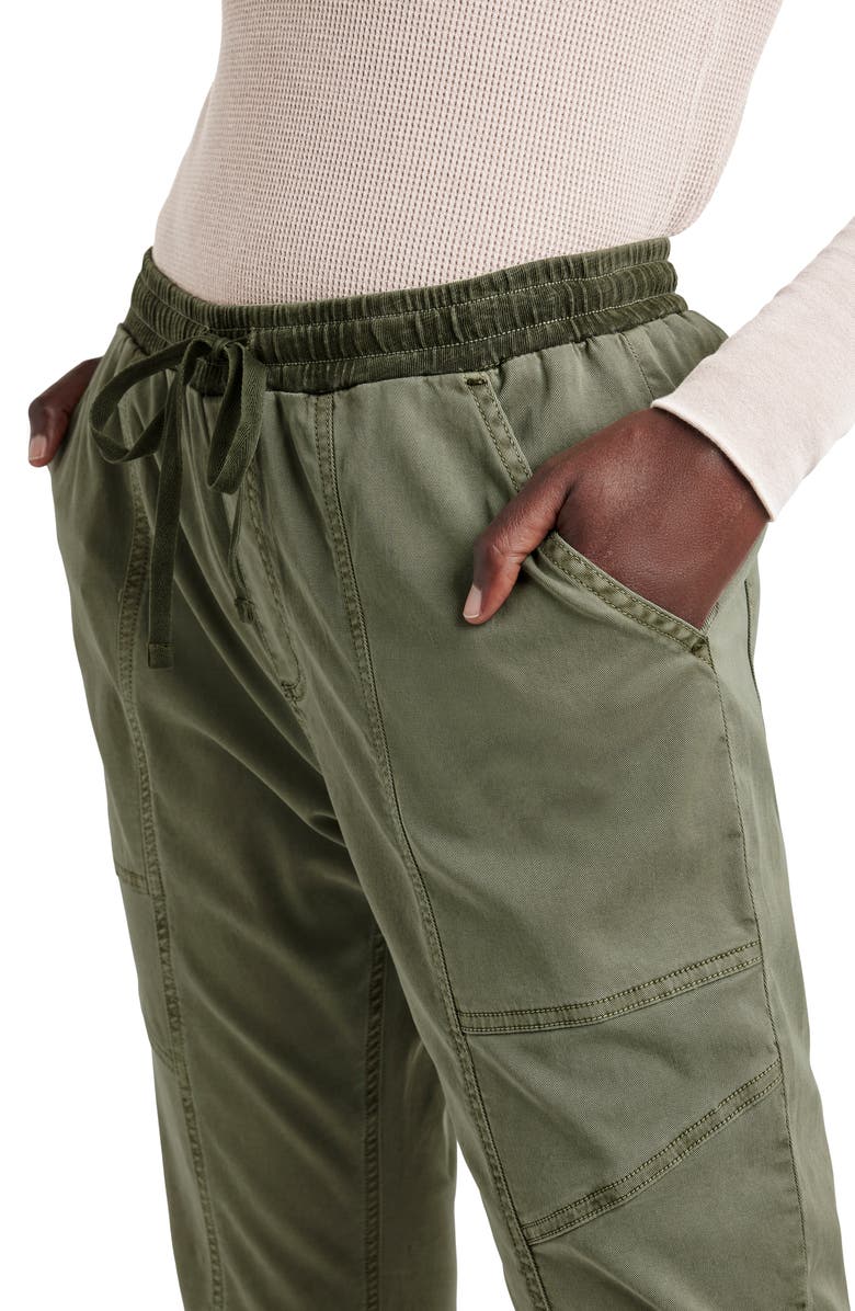Splendid Shay Twill Drawstring Pants, Alternate, color, Trail