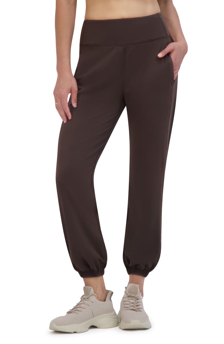 SAGE COLLECTIVE Skinny Performance Joggers, Alternate, color, Mulch