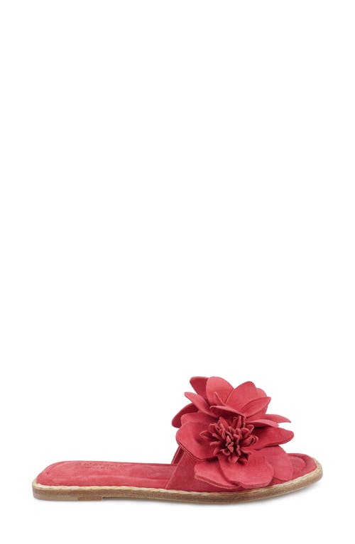 Zigi Artisan Aurra Slide Sandal In Pink